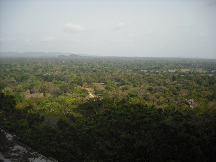 b0247609_14154375.jpg
