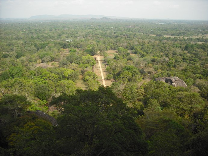 b0247609_14461459.jpg