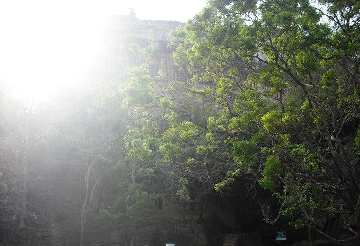 b0247609_146630.jpg