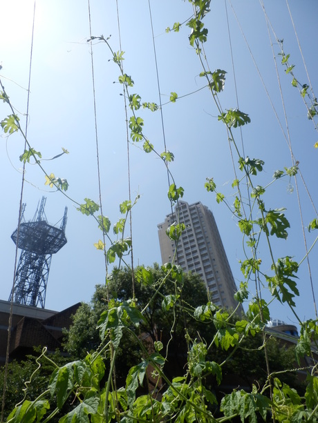 c0062511_20295859.jpg