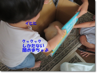 b0167519_22474485.jpg