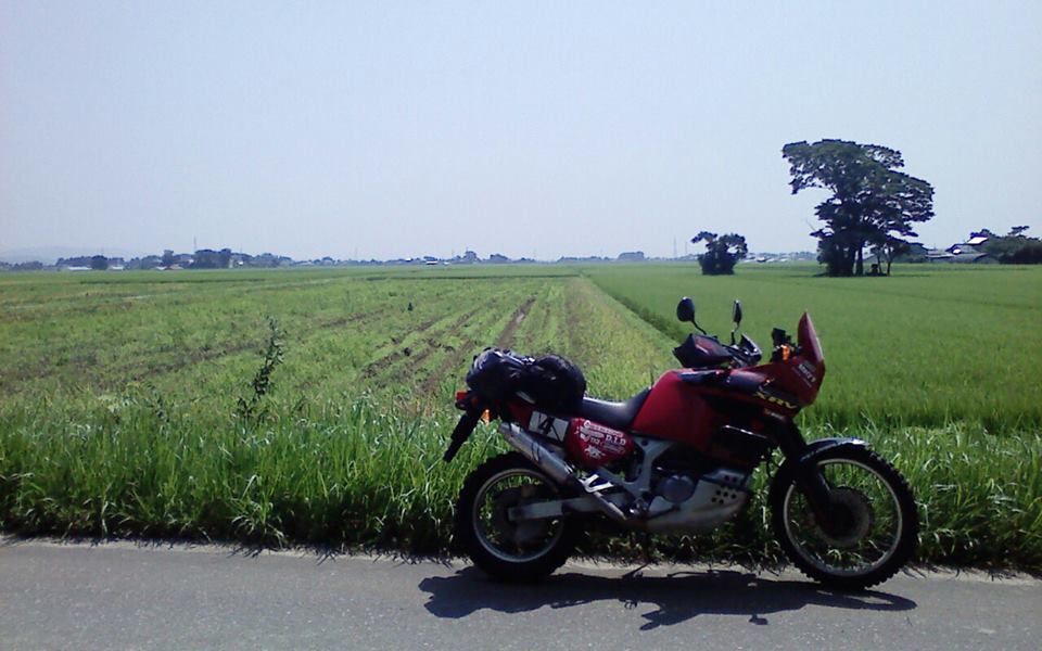 c0223419_11582421.jpg