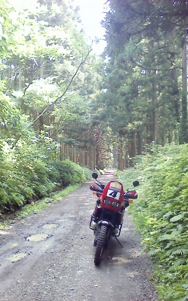 c0223419_19333298.jpg