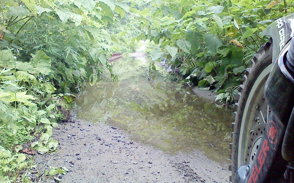c0223419_19413965.jpg