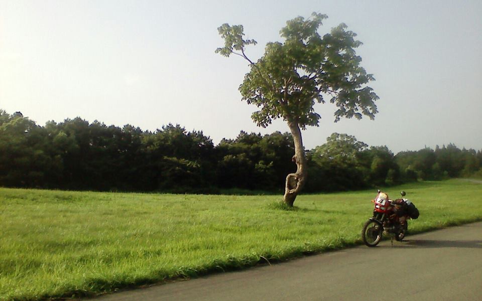c0223419_2035582.jpg