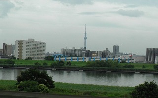 a0111225_1552524.jpg