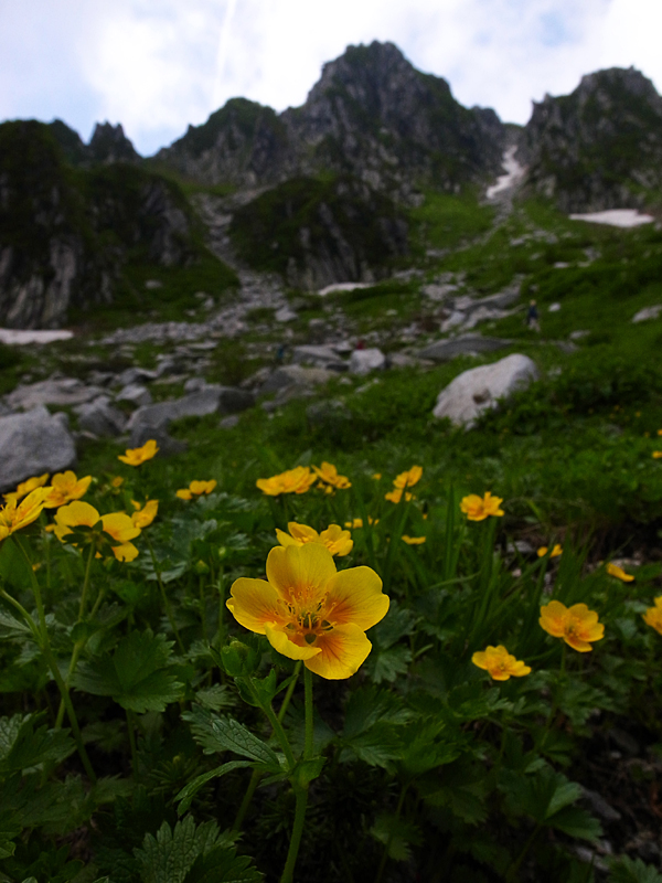 d0054625_22342424.jpg