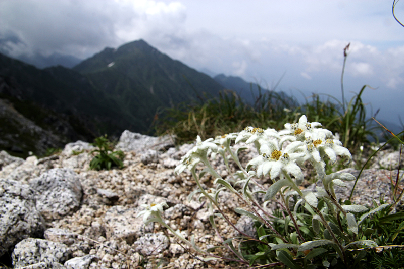 d0054625_2235660.jpg