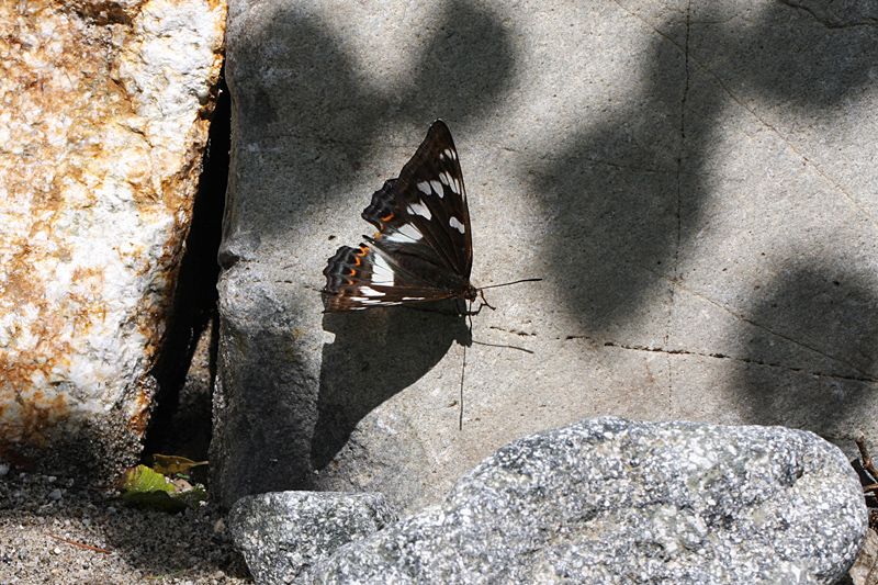 d0054625_2310510.jpg