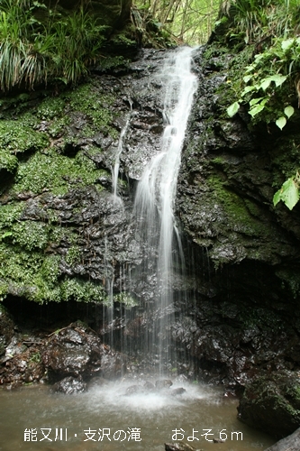 e0033229_8541366.jpg