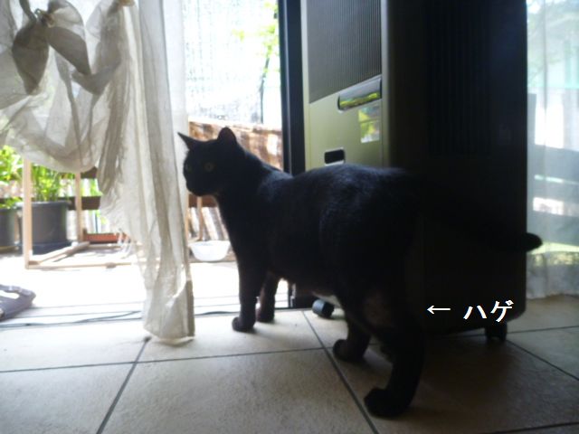 e0142430_024418.jpg