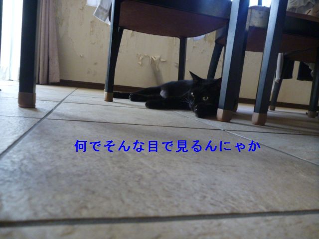 e0142430_0274633.jpg