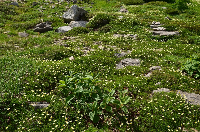 b0236334_20135636.jpg
