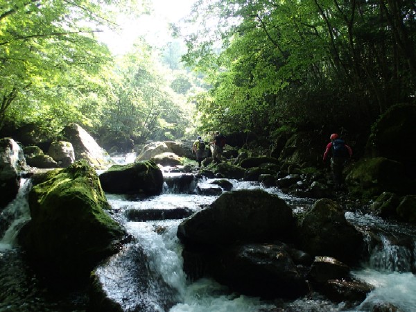 d0107938_10182136.jpg