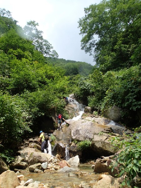 d0107938_10185831.jpg
