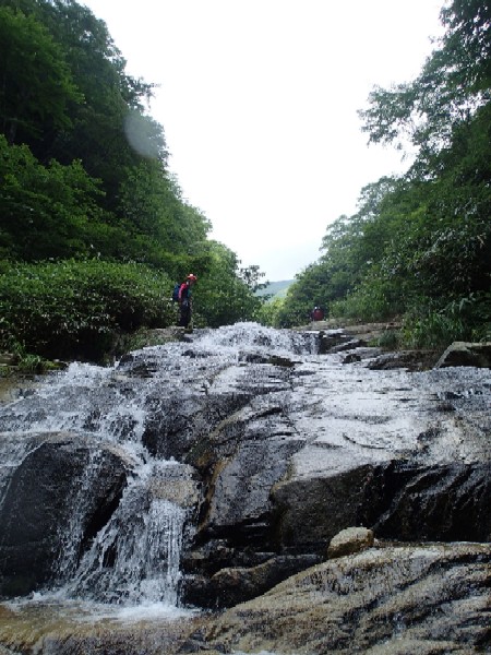 d0107938_10191180.jpg