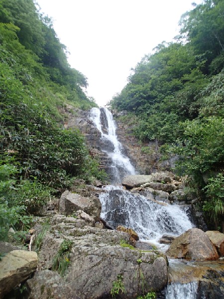d0107938_10191651.jpg
