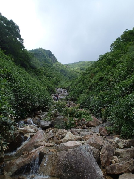 d0107938_10194547.jpg