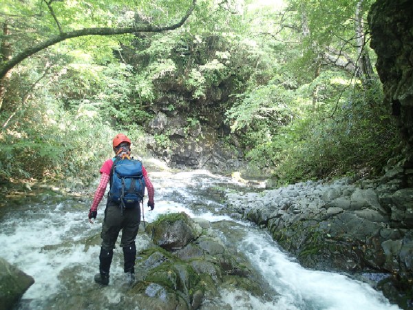 d0107938_1020272.jpg