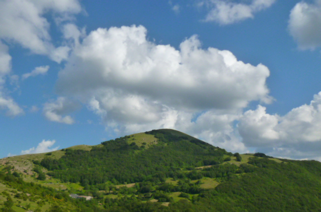 d0170140_1574670.jpg