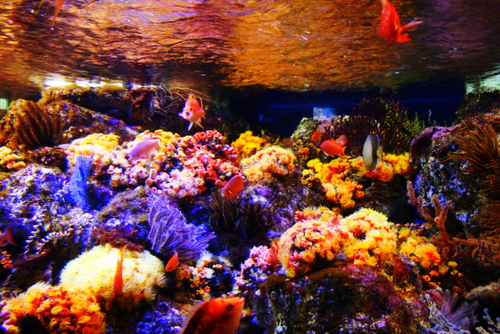 e0234741_9473577.jpg