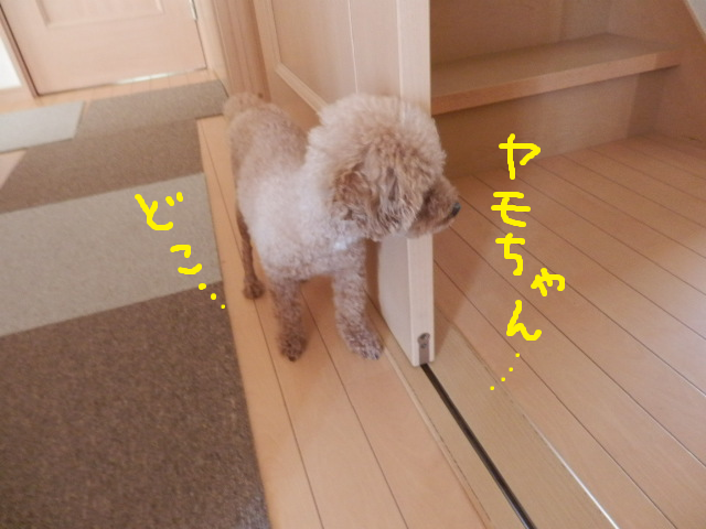 f0274745_22253099.png