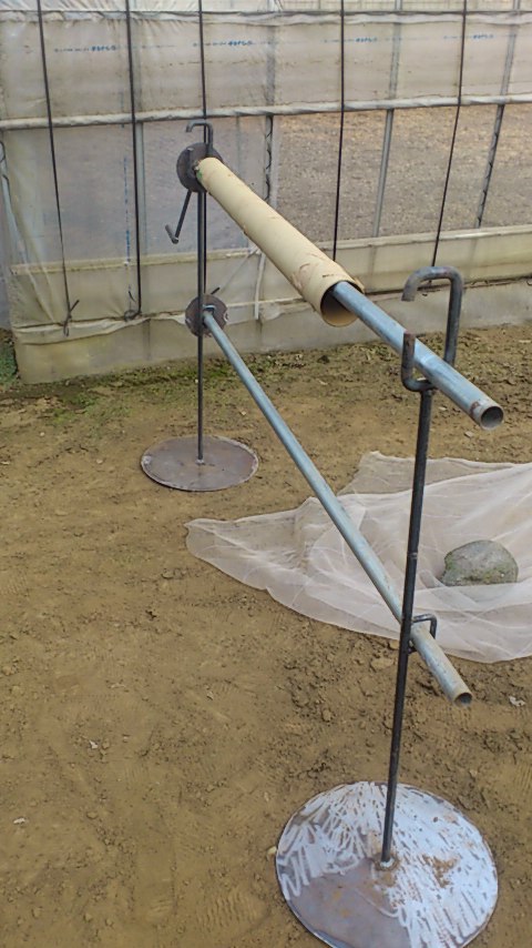 e0110055_833187.jpg
