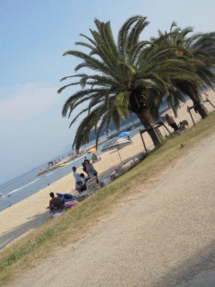 d0113159_230511.jpg