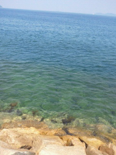 d0113159_2313222.jpg
