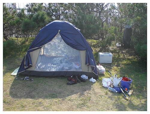 d0098363_21251640.jpg