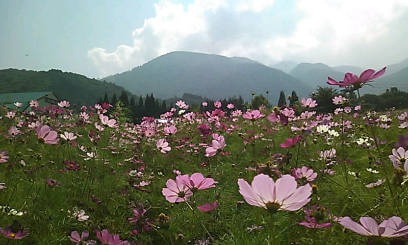 b0242064_15555.jpg