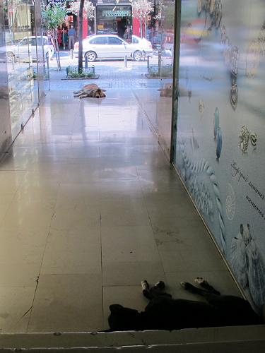 f0037264_446489.jpg