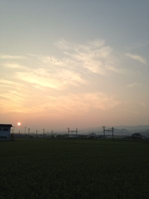 e0136066_15315954.jpg