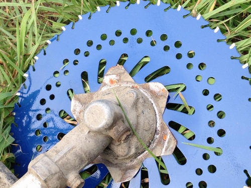 c0166668_9541497.jpg