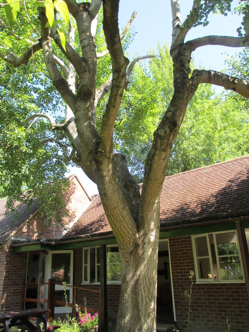 c0195369_061767.jpg