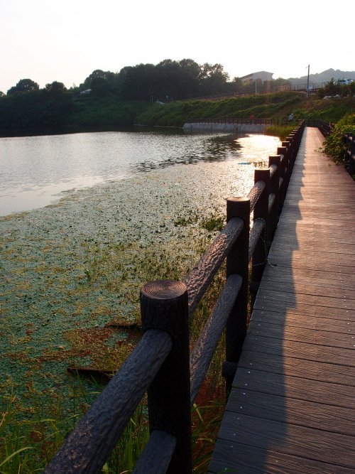 c0122670_17375959.jpg