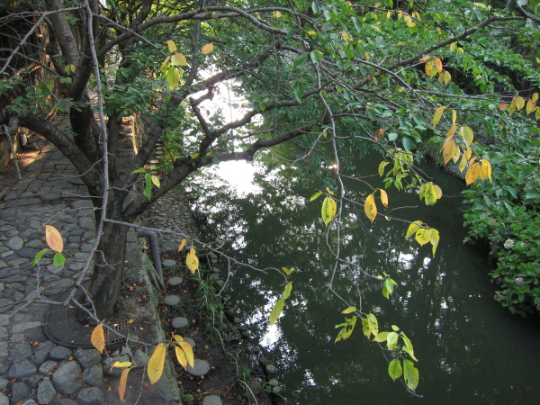 b0055171_23195597.jpg