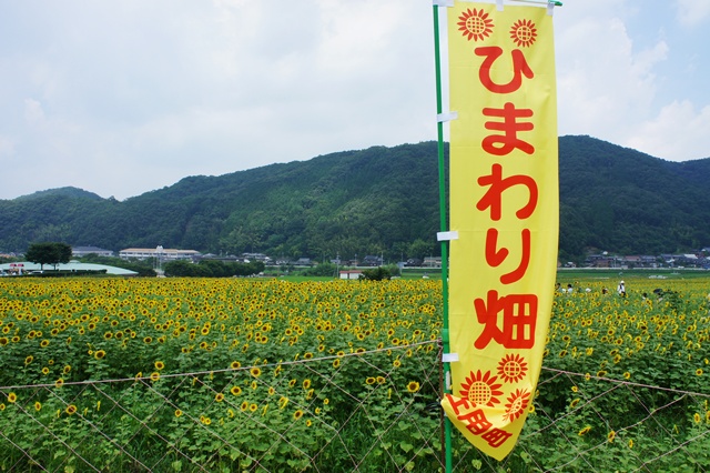 e0177271_1037655.jpg