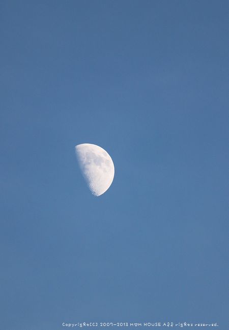 c0139375_12334586.jpg