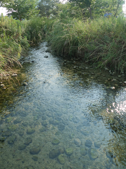 d0253277_20531526.jpg
