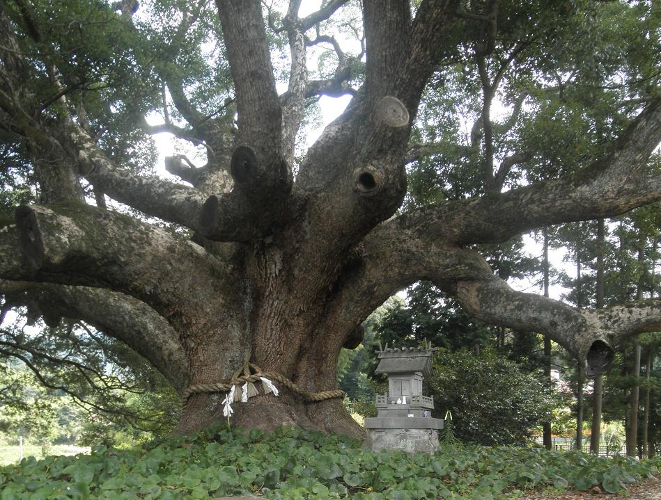 f0101679_20591498.jpg