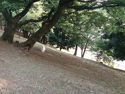 b0136381_12282371.jpg