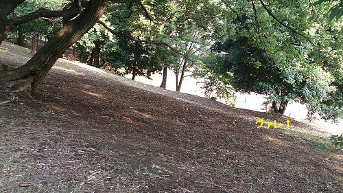 b0136381_12303159.jpg