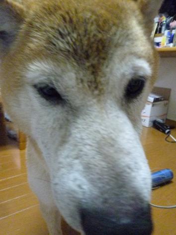 c0123890_22141391.jpg