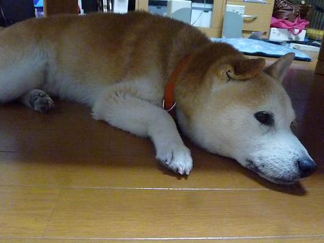 c0123890_22652100.jpg