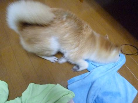 c0123890_2285872.jpg