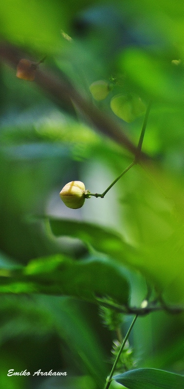 c0246290_955982.jpg
