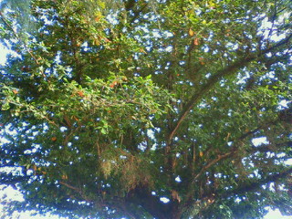 f0018790_1021132.jpg