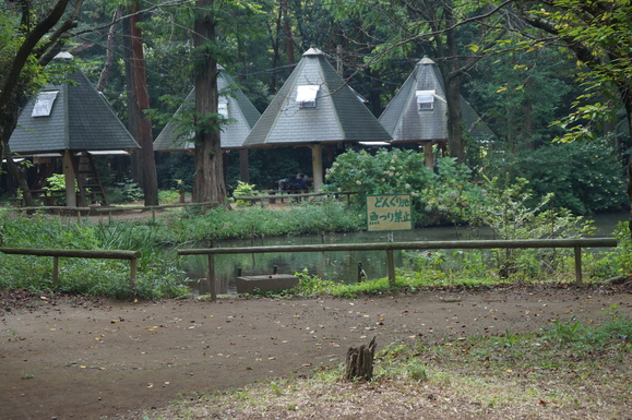 b0052094_183915.jpg