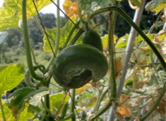 c0151898_20324522.jpg